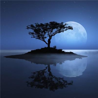 打鱼下载app下载