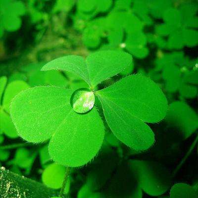 贝博bb平台体育全站版截图